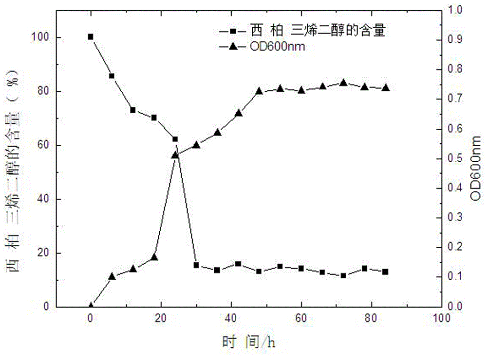 Stenotrophomonas maltophilia and application thereof