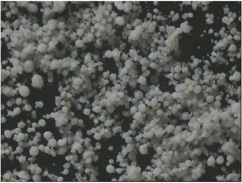 Spherical carrier and olefin polymerization catalyst, preparation methods and application of spherical carrier and olefin polymerization catalyst, and olefin polymerization method