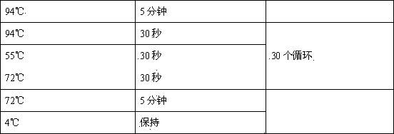 Uracil-DNA glycosylase activity measurement method