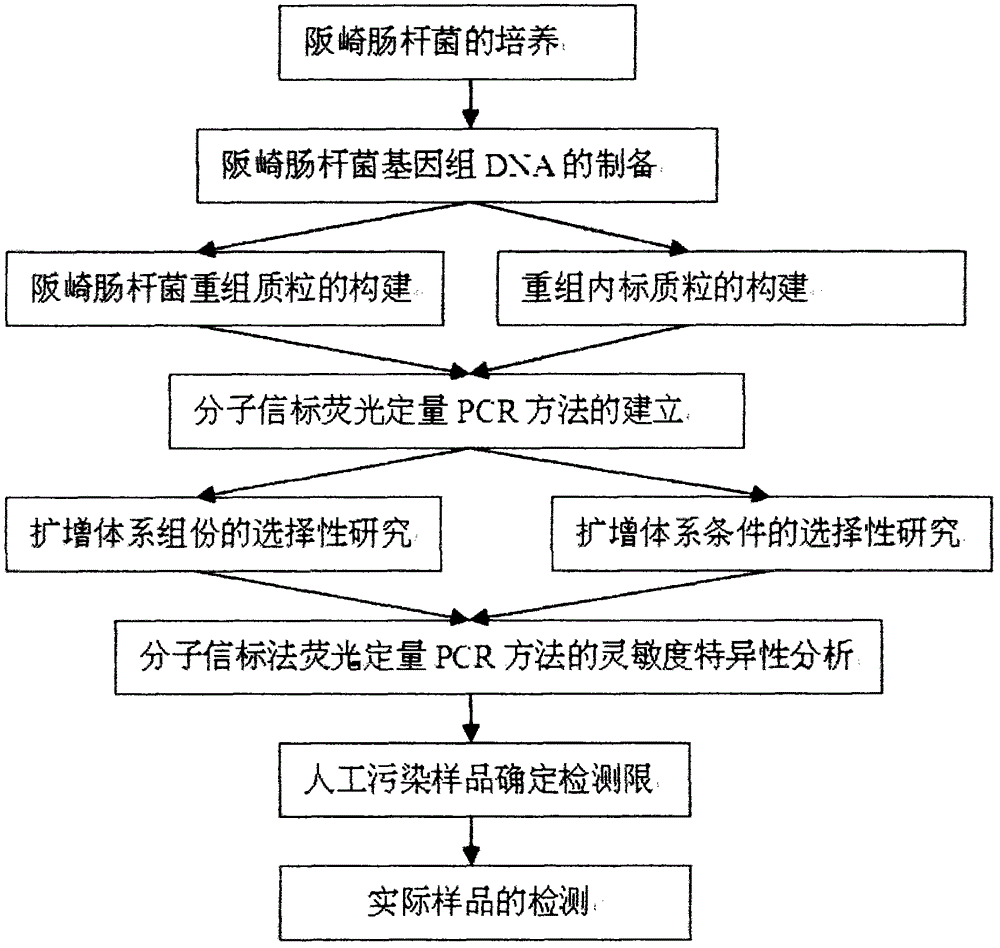 PCR (Polymerase Chain Reaction) method and kit for quickly detecting Enterobacter sakazakii in baby formula