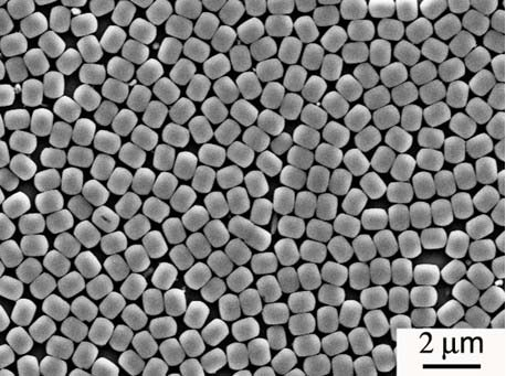 Method for synthesizing highly-oriented MFI (Melt Flow Index) molecular sieve membrane through controlled secondary growth of twin crystal