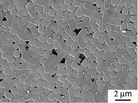 Method for synthesizing highly-oriented MFI (Melt Flow Index) molecular sieve membrane through controlled secondary growth of twin crystal