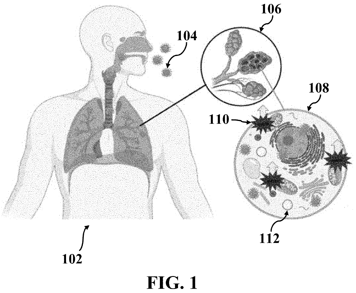 Electrochemical approach for covid-19 detection