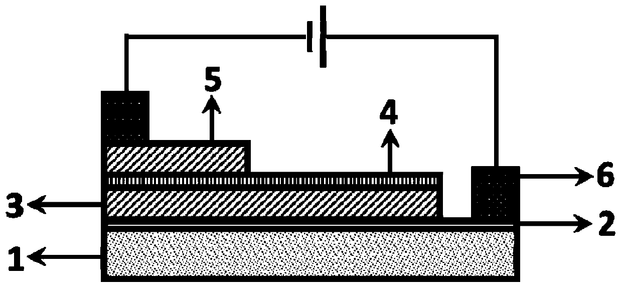 Flexible ZnO/NiO/ZnO multifunctional triode and preparation method thereof