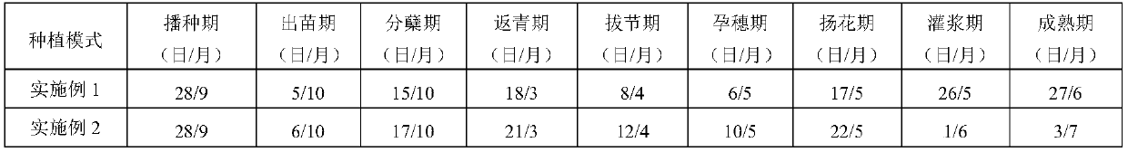 Straw mulching ridge-side (wide) furrow sowing crop cultivation method for dry land