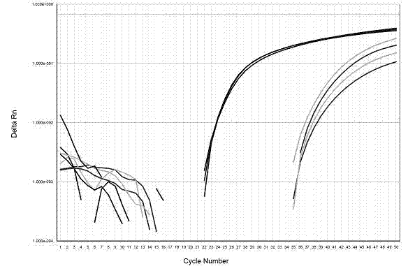 Method used for detecting HLA-B*5801 alleles