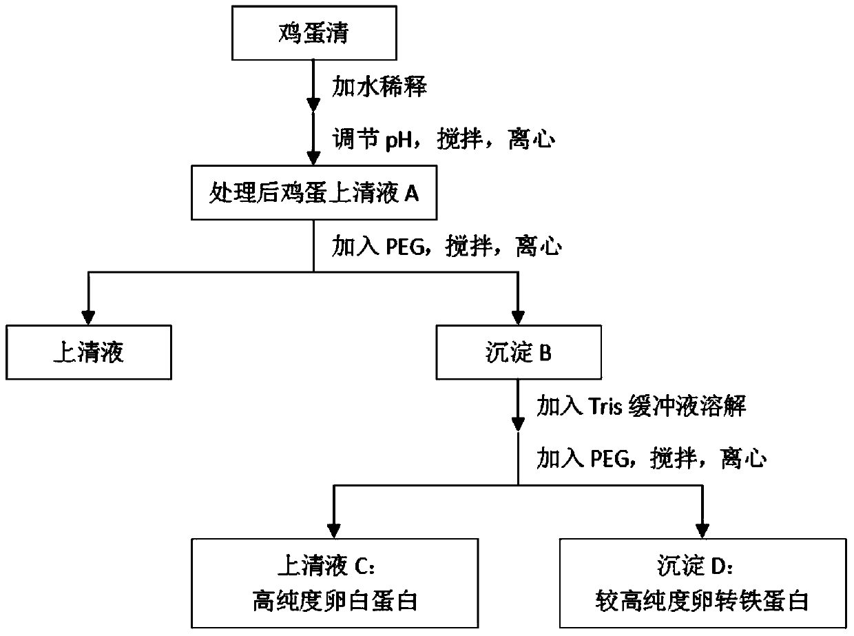 A method for co-preparing ovalbumin and ovotransferrin