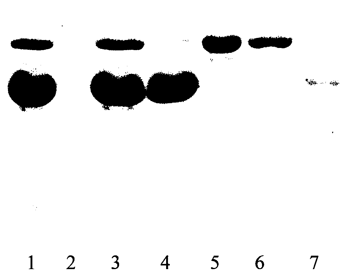 A method for co-preparing ovalbumin and ovotransferrin