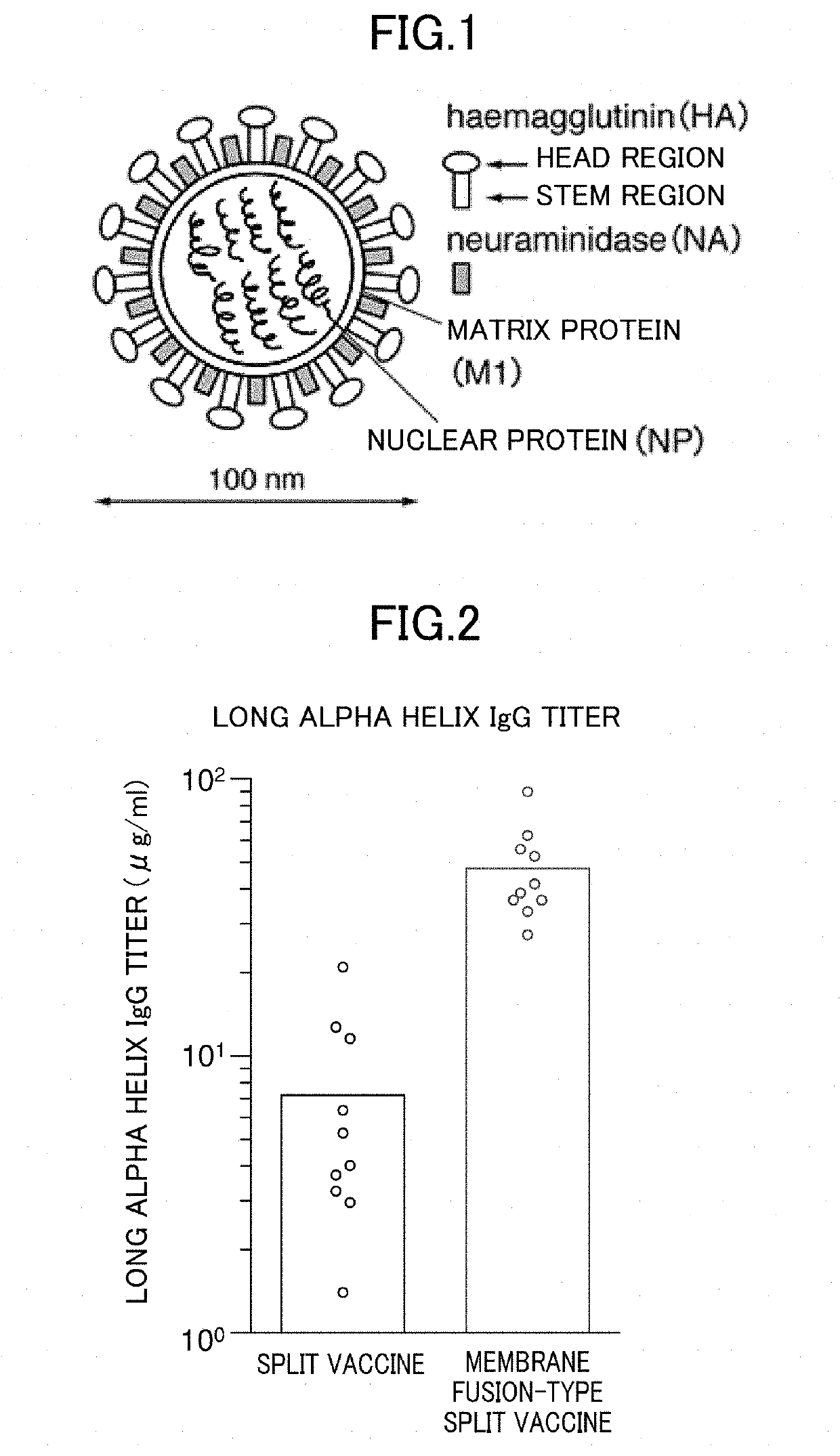 Method for producing influenza HA split vaccine