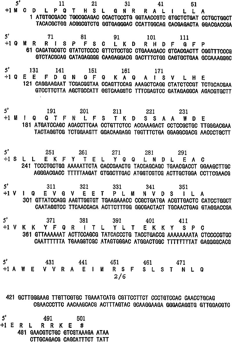 Uses of recombinant super-compound interferon