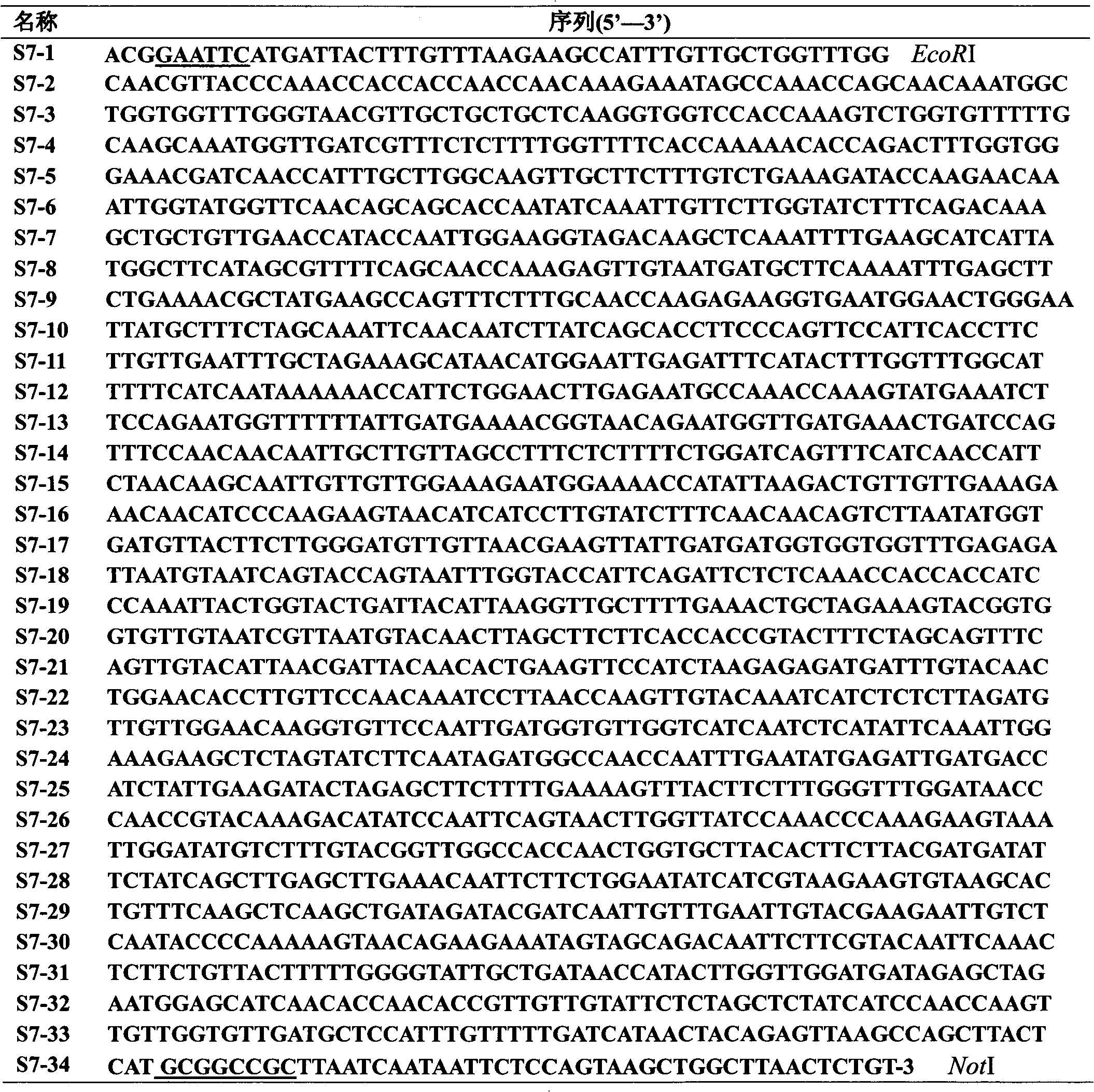 Genes, plasmid, bacterial strain and application of xylanase