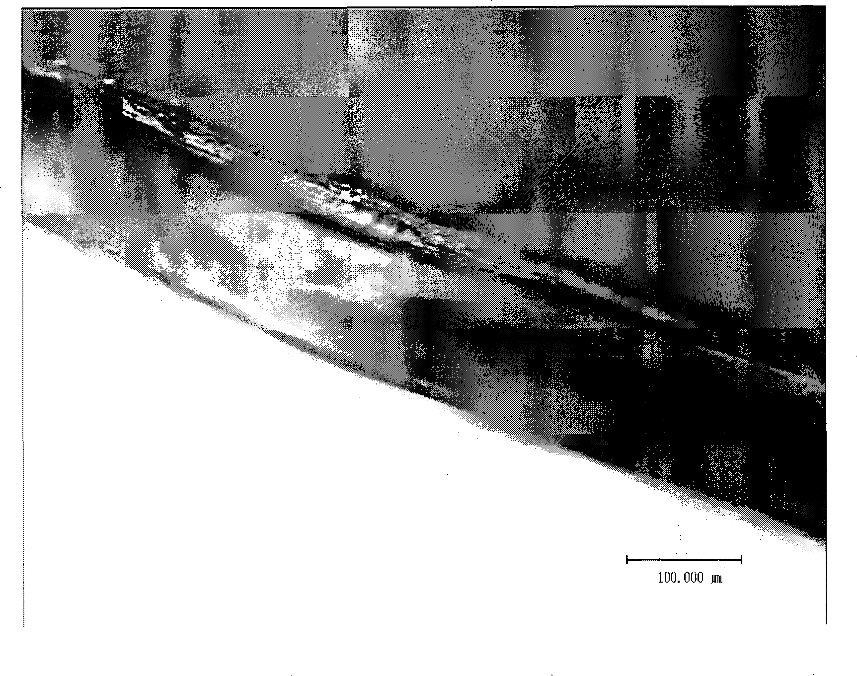 Fluorine/hydrocarbon composite ion exchange film and preparation thereof