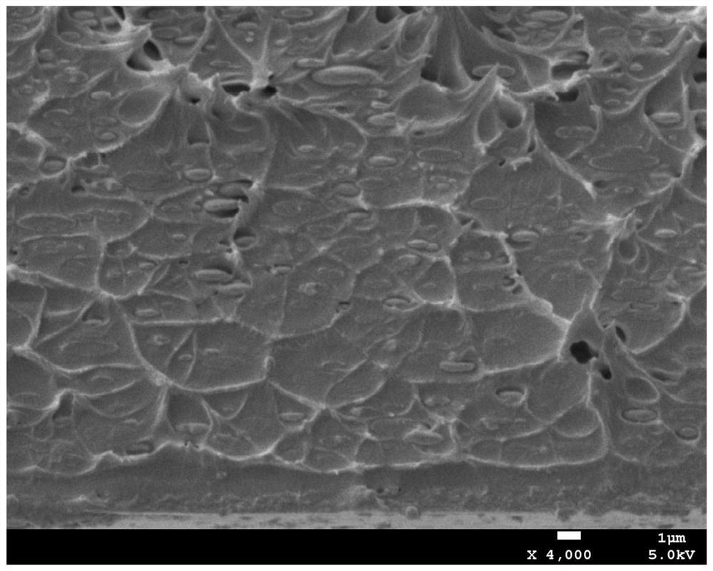 A kind of antibacterial flame retardant fiber and preparation method thereof