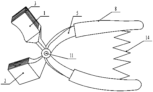 A device for processing garlic slices