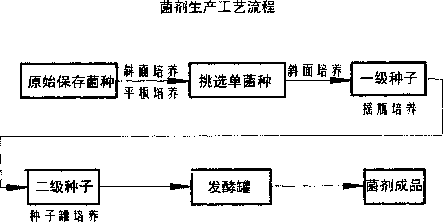 Multi-effect water-retaining anti-pest composite bio-fertilizer for forest and grass and method for preparing same