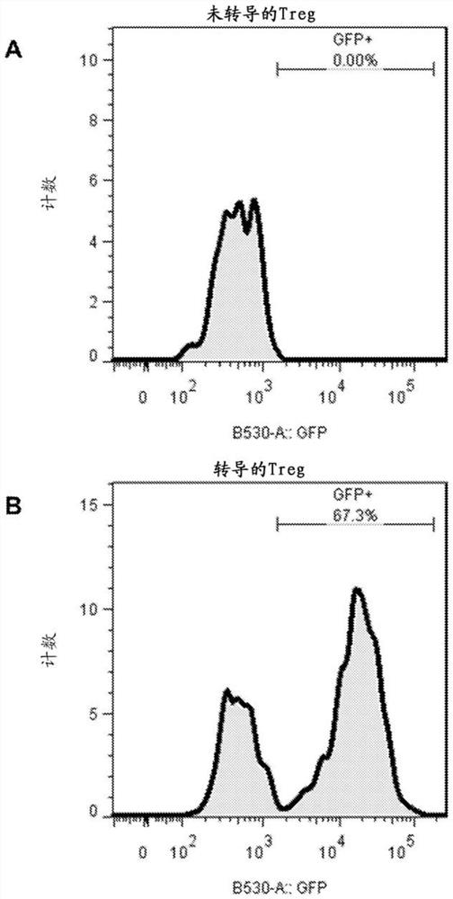 Engineered regulatory t cells