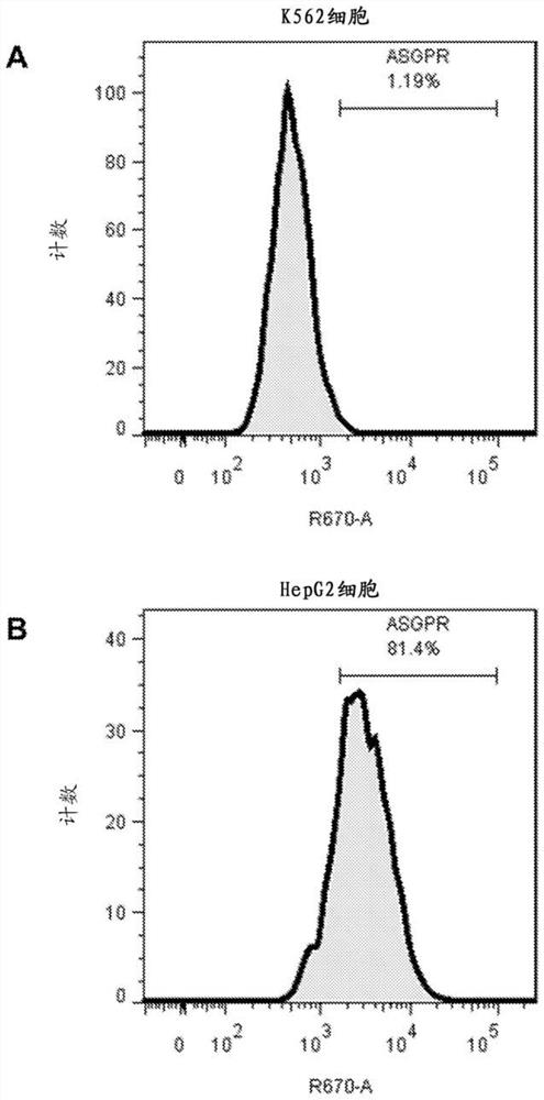 Engineered regulatory t cells