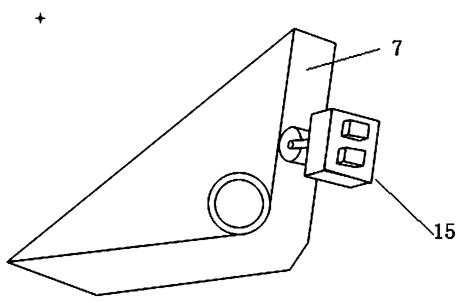 Paraffin section transferring and developing apparatus, sectioning device and method for paraffin sectioning