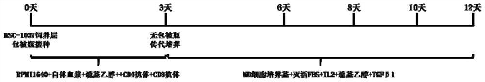 Method for culturing Treg cell