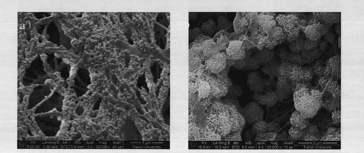 Bacteria cellulose/gelatin/hydroxyapatite composite material and preparation method thereof