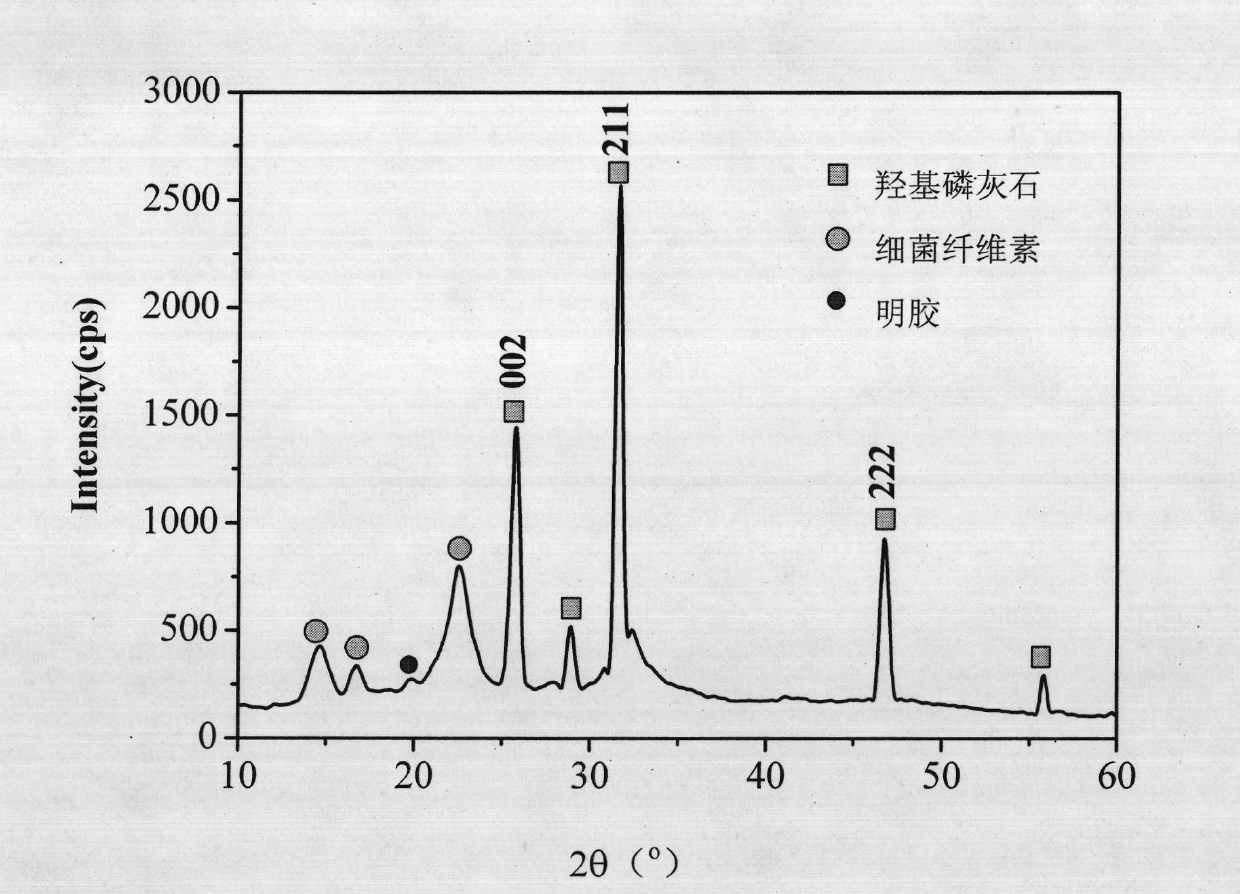 Bacteria cellulose/gelatin/hydroxyapatite composite material and preparation method thereof