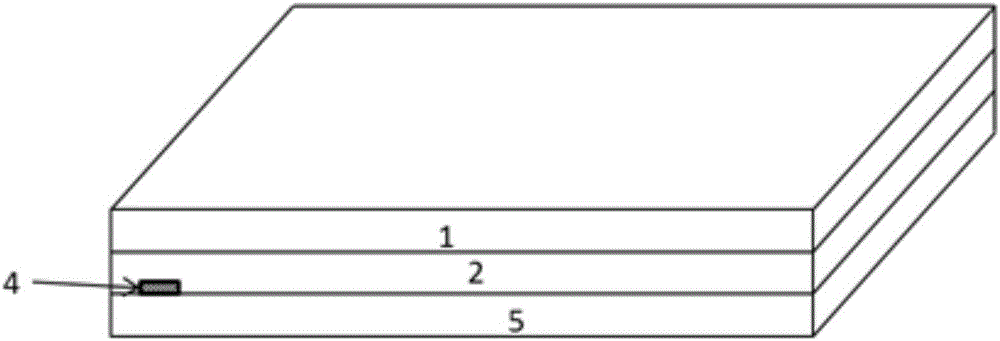 Temperature-sensitive tag and application thereof