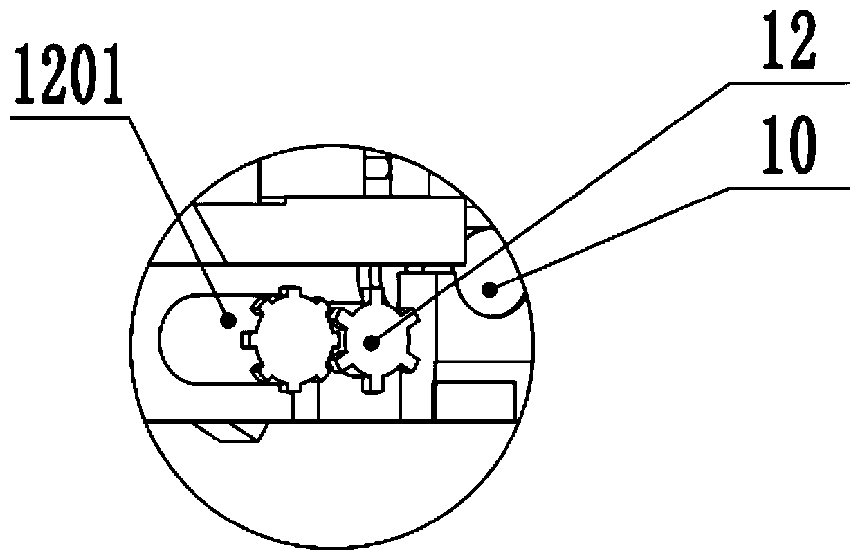 Fish feeding boat