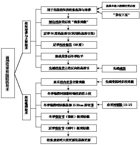 Shed pear tree fruiting branch group and culturing method thereof