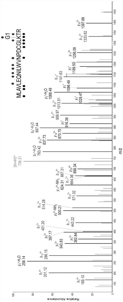 A Molecular Probe for Higher Plant Cobalt-Independent Methionine Synthetase and Its Application