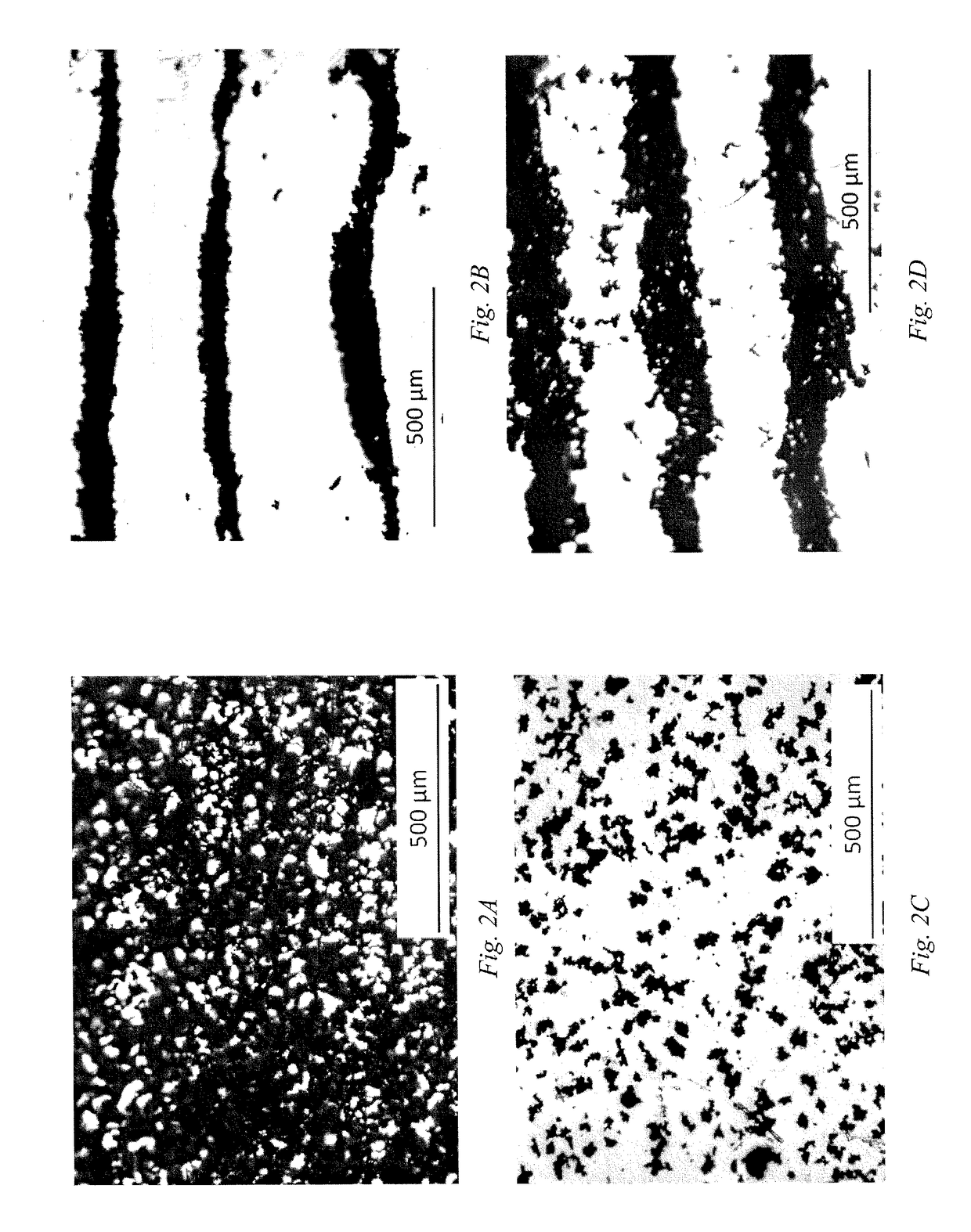 Anisotropic films templated using ultrasonic focusing