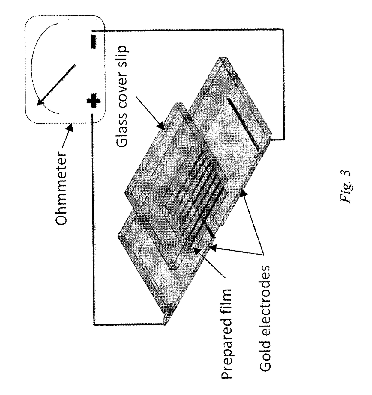 Anisotropic films templated using ultrasonic focusing