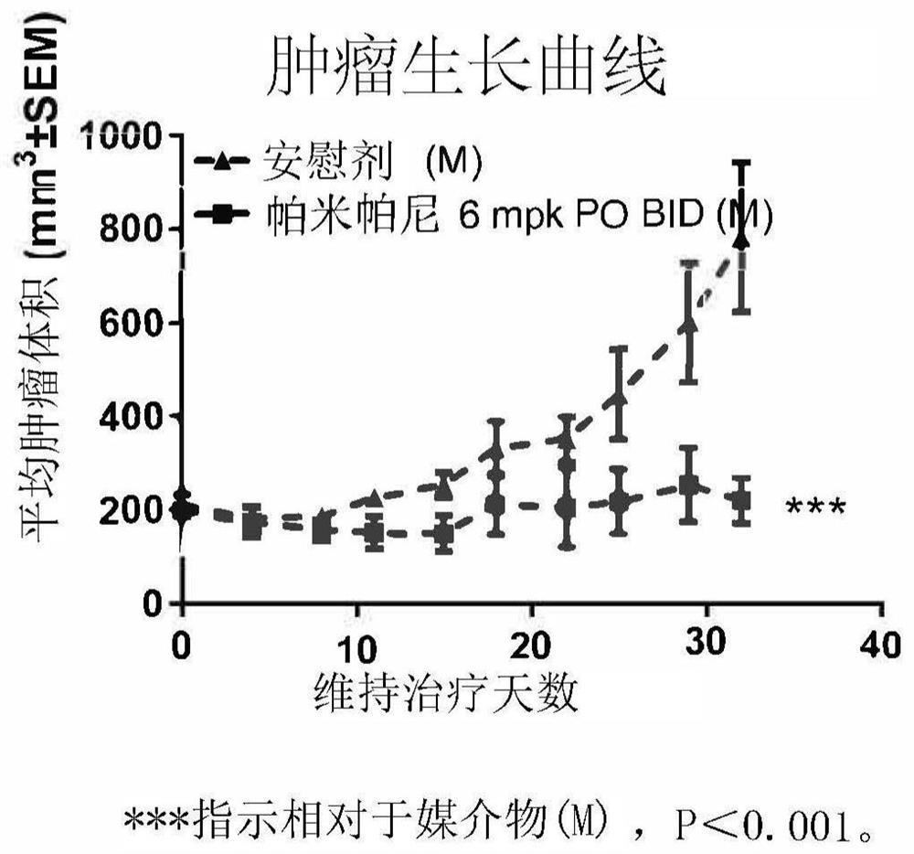 Maintenance therapy of a parp inhibitor in treating gastric cancer