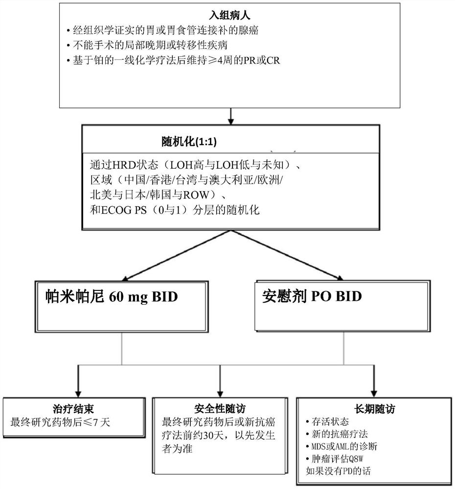 Maintenance therapy of a parp inhibitor in treating gastric cancer