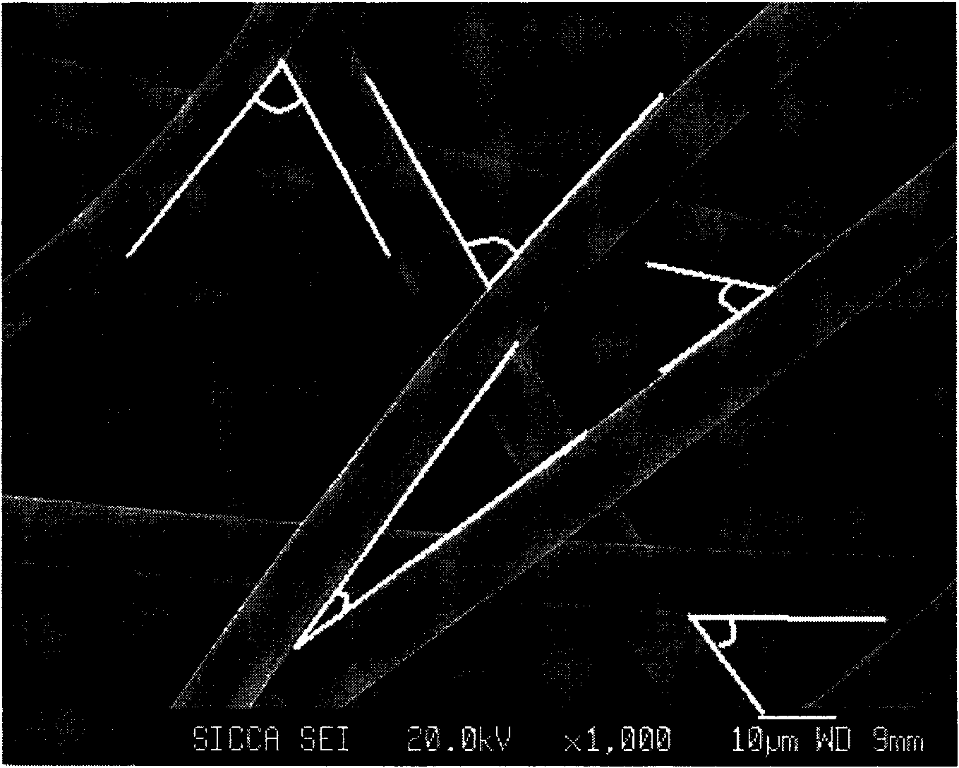 Stereo braiding-based carbon sulfur composite electrode for sodium sulfur battery