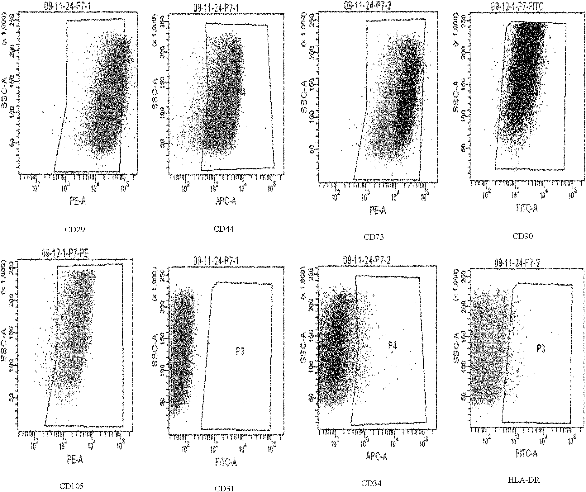 Human umbilical mesenchymal stem cell and preparation method thereof