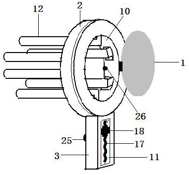 Vaginal speculum for gynecology department