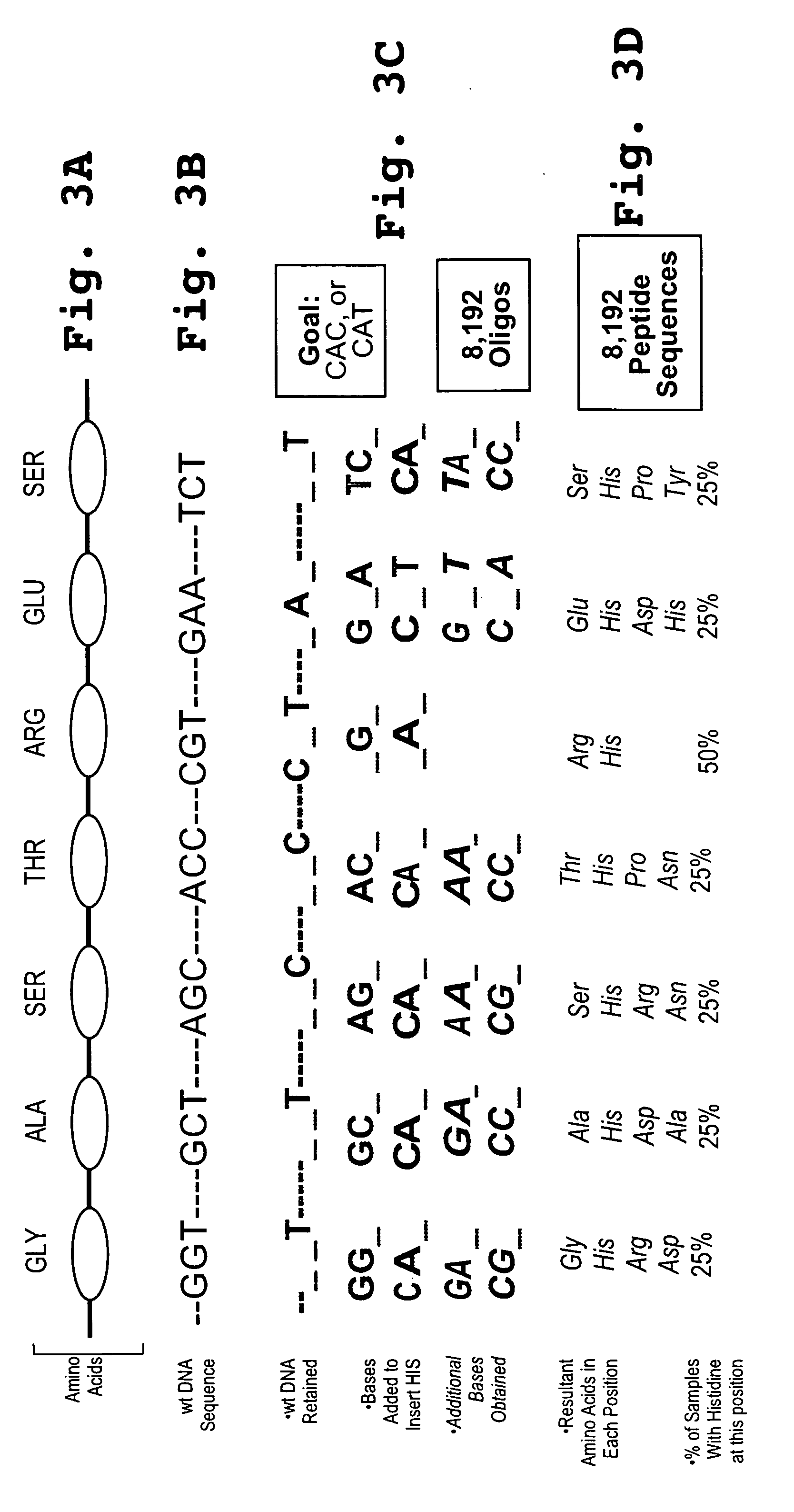 High affinity anti-TNF-alpha antibodies and method