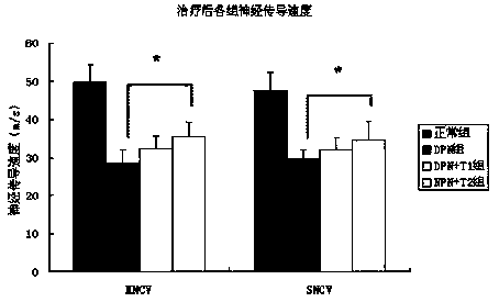 Application of TNF (tumor necrosis factor)-alpha receptor-antibody fusion protein in preparation of medicament for treating diabetic peripheral neuropathy