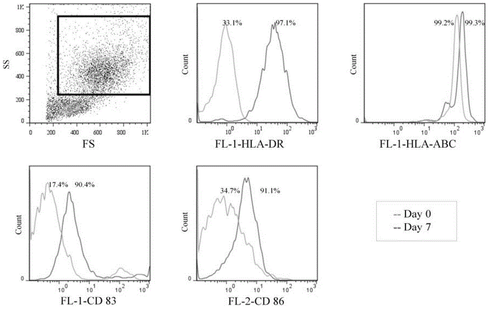 Heterologous fusion gene modified cancer cell/dendritic cell fusion tumor vaccine and preparation method thereof