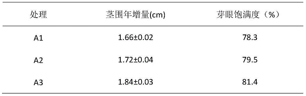 Method for cultivating sunshine rose grapes in labor-saving mode