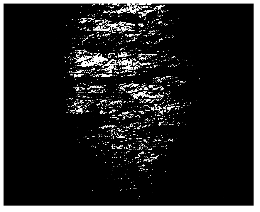 Rolling method for solving surface wrinkling problem of ferritic stainless steel