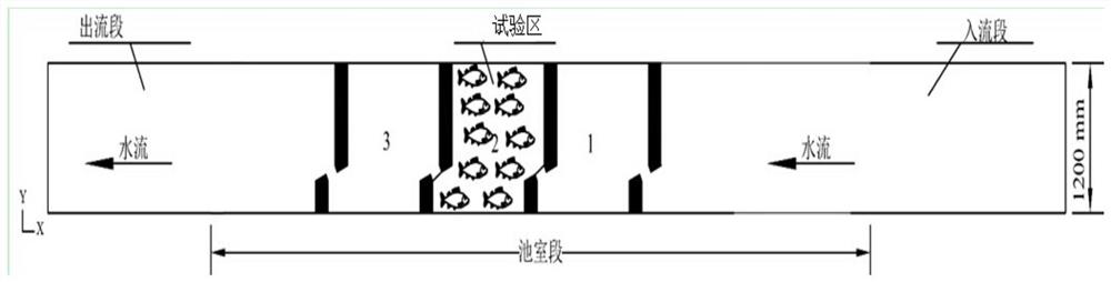 A Method for Drawing Adaptive Curves of Fish to Hydrodynamic Parameters