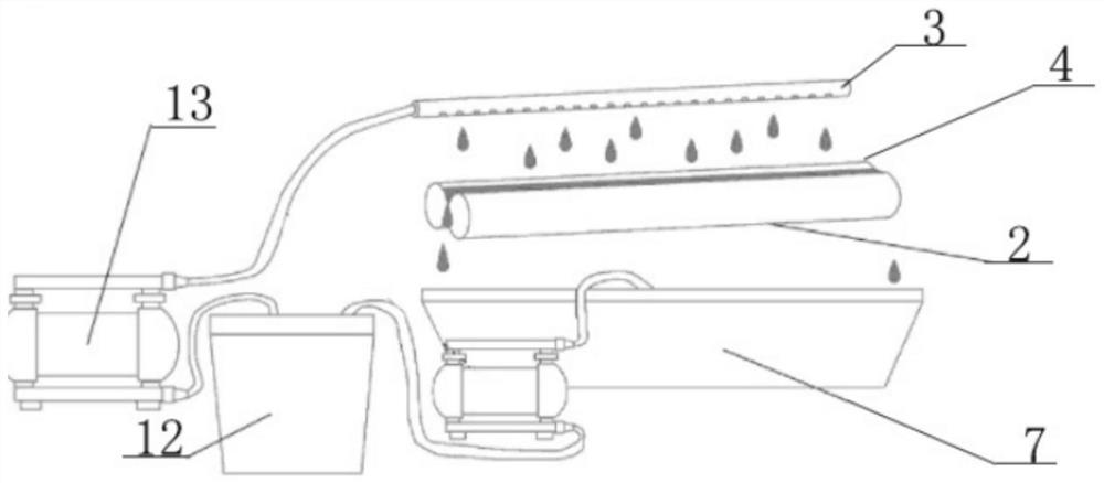 Blanket dyeing device and dyeing method