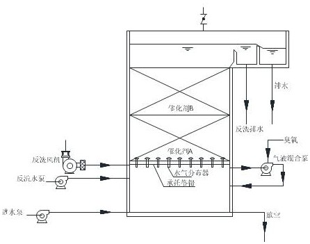 Catalytic ozonation reactor for sewage treatment