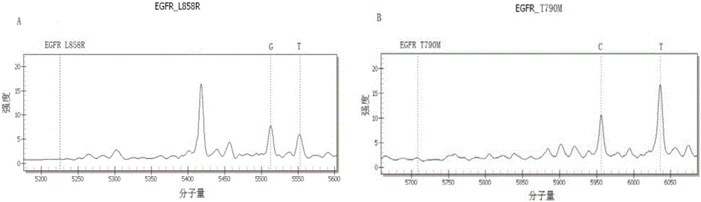 Kit for detecting lung cancer EGFR gene mutation targeted therapy related drug-resistant variation sites