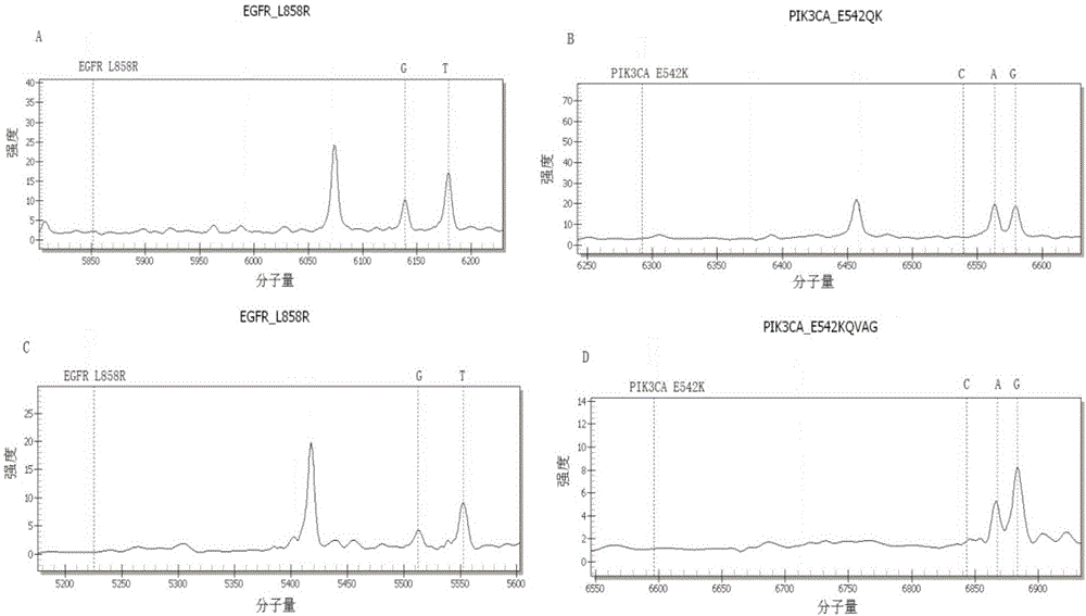 Kit for detecting lung cancer EGFR gene mutation targeted therapy related drug-resistant variation sites