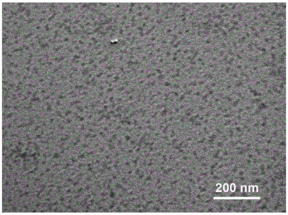 Water-dispersible hyperbranched conjugated polymer fluorescent nanoparticles as well as preparation method and application thereof