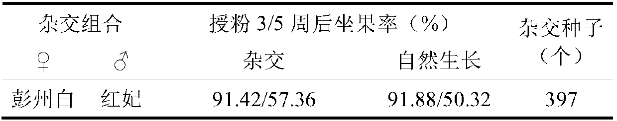 Hybridization method for cherry