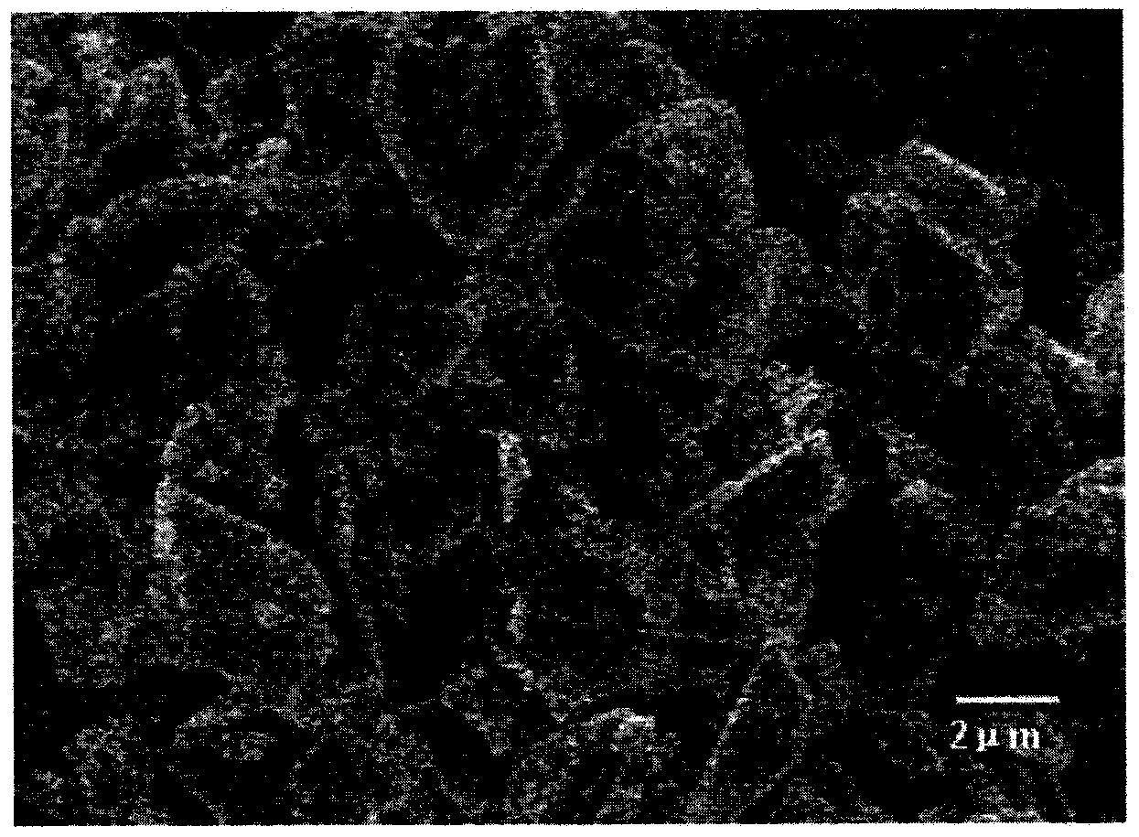 Insulin nano transdermal patch and preparation method thereof