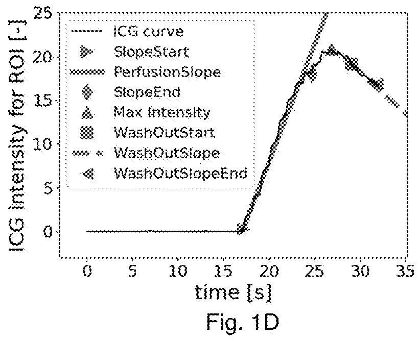 System and method for assessing perfusion in an anatomical structure